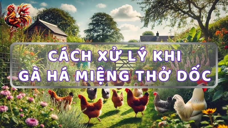 Cách xử lý khi gà há miệng thở dốc