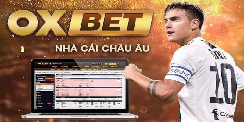 Đôi nét cơ bản về nhà cái OXBET