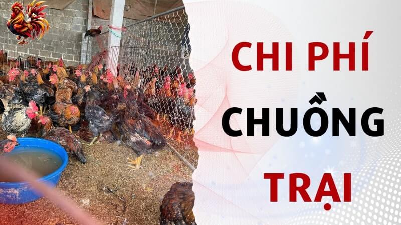 Chi phí chuồng trại