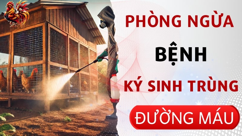 Cẩm nang phòng chống bệnh ký sinh trùng đường máu ở gà