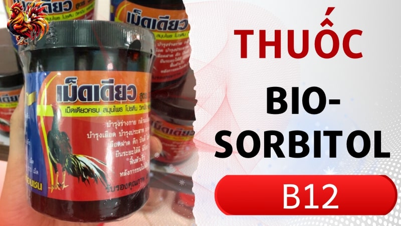 Thuốc BIO-SORBITOL + B12