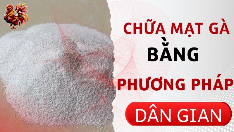 Trị mạt gà bằng phương pháp dân gian