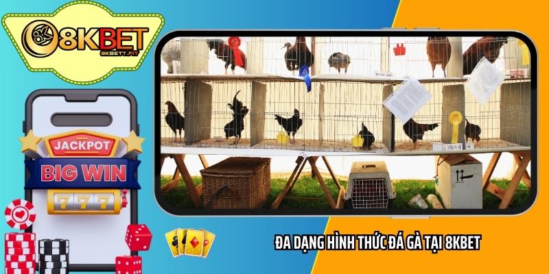 Đa dạng hình thức đá gà tại 8KBET